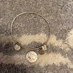 Alex and ani bracelet
